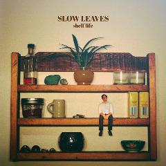 Slow Leaves – Shelf Life (2020) (ALBUM ZIP)