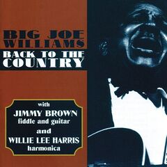 Big Joe Williams – Back To The Country (2020) (ALBUM ZIP)