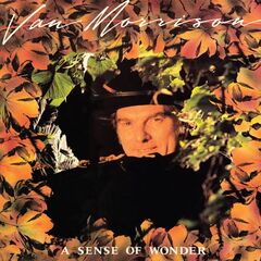Van Morrison – A Sense Of Wonder Remastered (2020) (ALBUM ZIP)