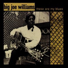 Big Joe Williams – These Are My Blues Live (2020) (ALBUM ZIP)