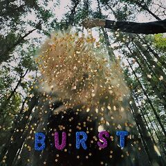 Snarls – Burst (2020) (ALBUM ZIP)