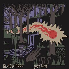 Black Pool – Just Love (2020) (ALBUM ZIP)