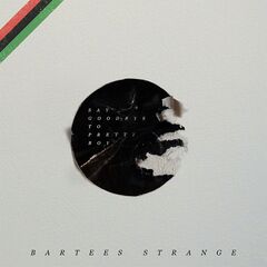 Bartees Strange – Say Goodbye To Pretty Boy (2020) (ALBUM ZIP)