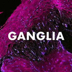 Andrew Huang – Ganglia (2020) (ALBUM ZIP)