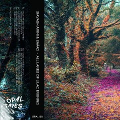 Siavash Amini Saaad – All Lanes Of Lilac Evening (2020) (ALBUM ZIP)