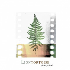Liontortoise – Photosynthesis (2020) (ALBUM ZIP)