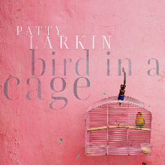 Patty Larkin – Bird In A Cage (2020) (ALBUM ZIP)