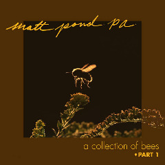 Matt Pond Pa – A Collection Of Bees Part 1 (2020) (ALBUM ZIP)