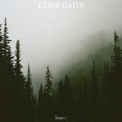 Eerie Gaits – Holopaw (2020) (ALBUM ZIP)