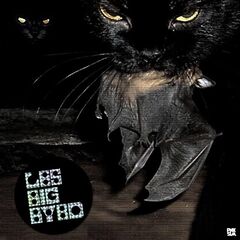 Les Big Byrd – Roofied Angels (2020) (ALBUM ZIP)