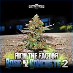 Rich The Factor – Rose Out The Concrete 2 (2020) (ALBUM ZIP)