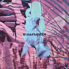 Visceral Autopsy – Wallflower (2020) (ALBUM ZIP)