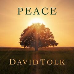 David Tolk – Peace (2020) (ALBUM ZIP)