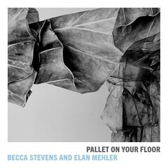 Becca Stevens &amp; Elan Mehler – Pallet On Your Floor (2020) (ALBUM ZIP)