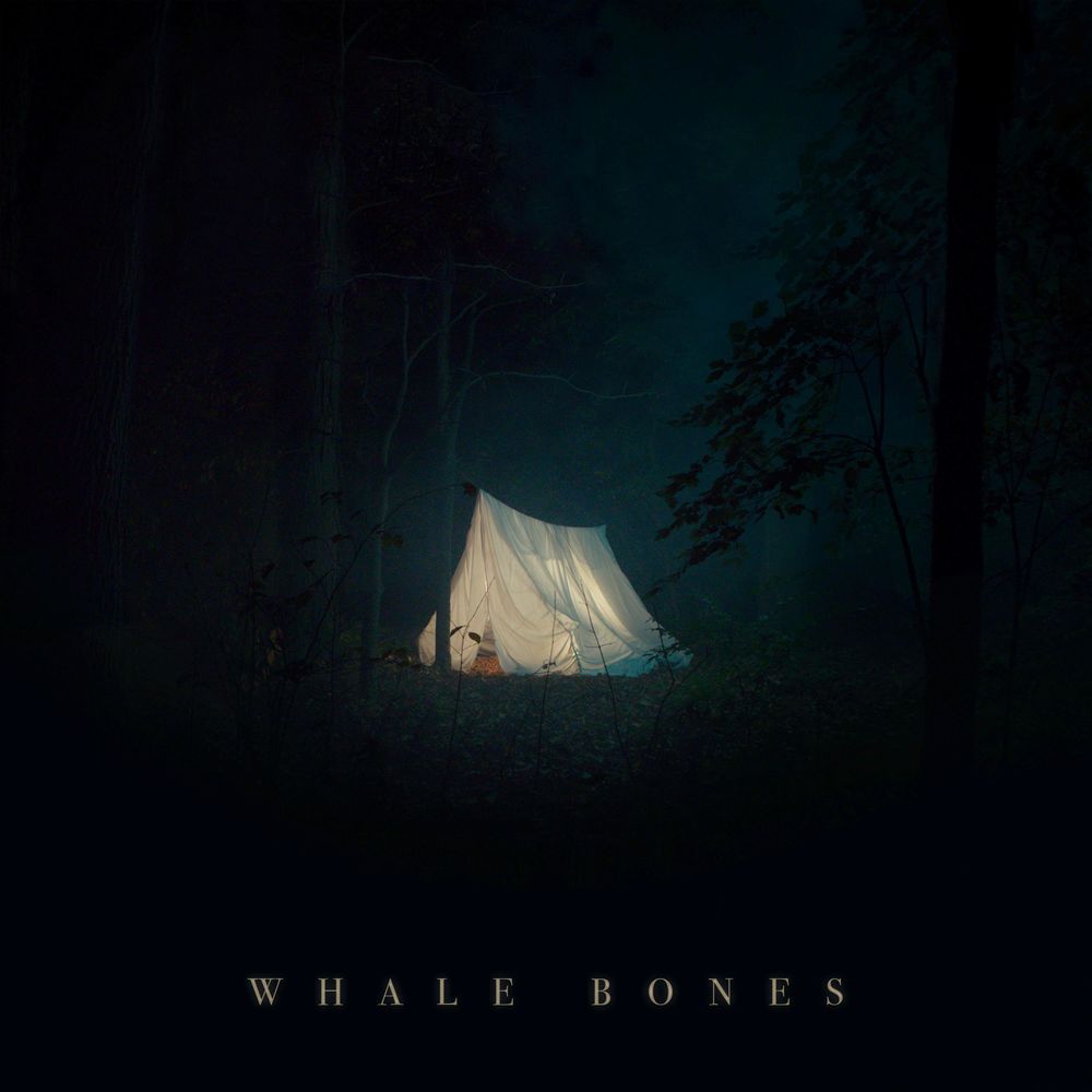 Whale Bones – The Doors Are Locked, The Blinds Are Closed, I Am Not Home (2020) (ALBUM ZIP)