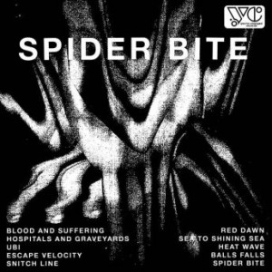 Daniel Romano – Spider Bite (2020) (ALBUM ZIP)