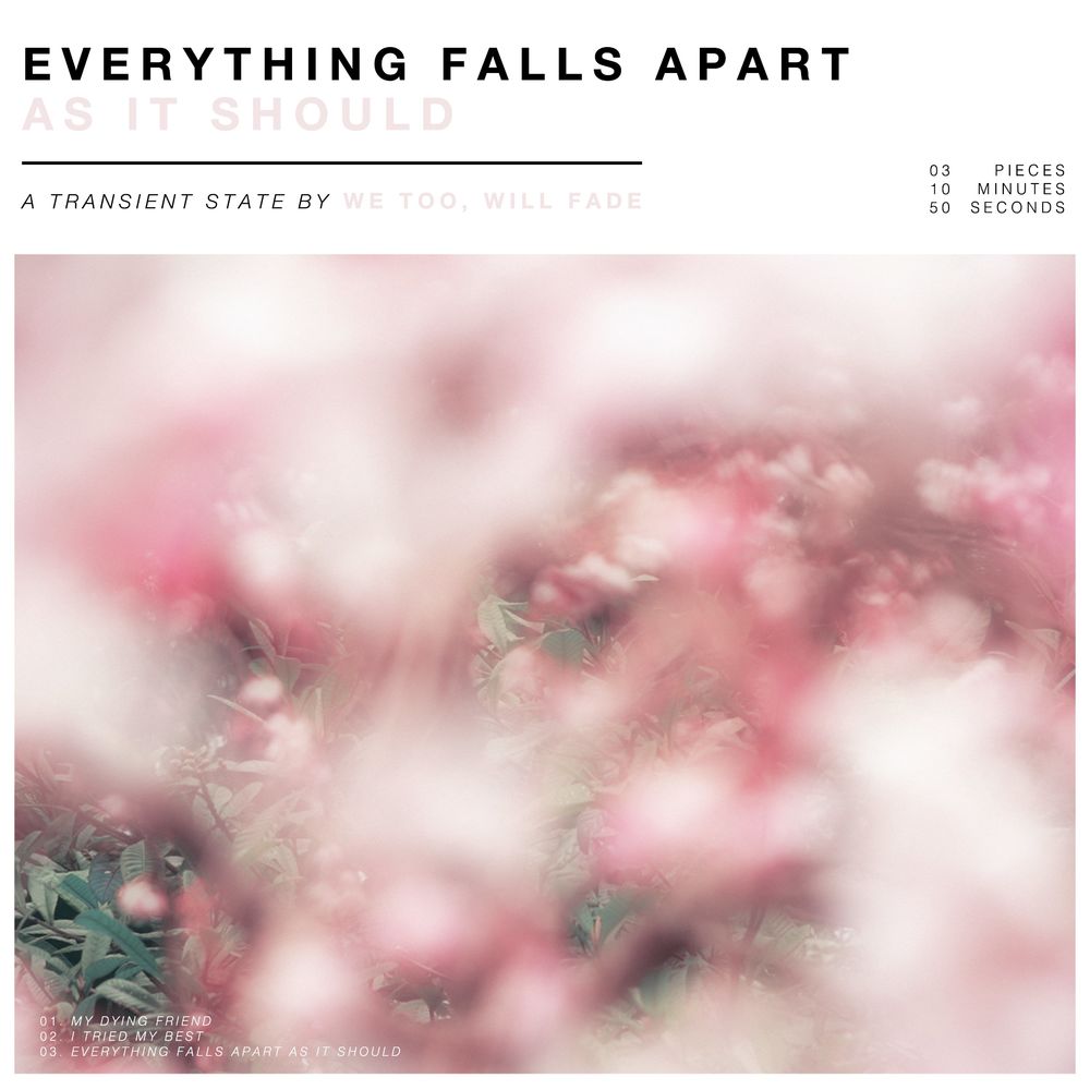 We Too Will Fade – Everything Falls Apart As It Should (2020) (ALBUM ZIP)