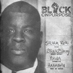 Salaam Remi – Black On Purpose (2020) (ALBUM ZIP)