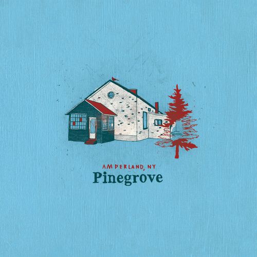 Pinegrove – Amperland, NY (2021) (ALBUM ZIP)