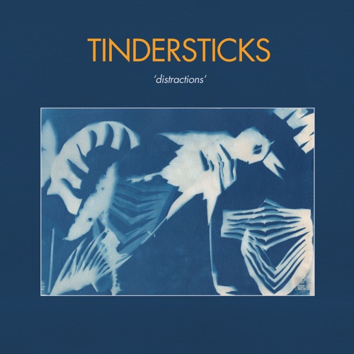 Tindersticks – Distractions (2021) (ALBUM ZIP)