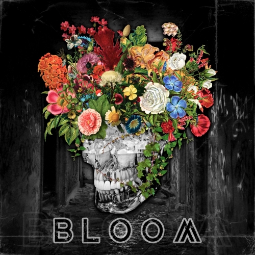 Cold Hvnds – Bloom (2021) (ALBUM ZIP)