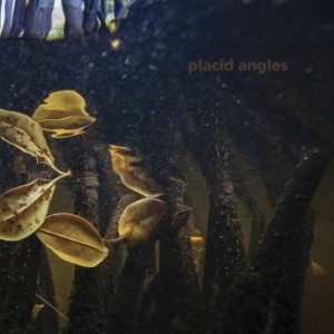 Placid Angles – Touch The Earth (2021) (ALBUM ZIP)