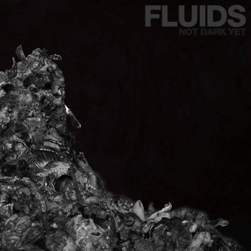Fluids – Not Dark Yet (2021) (ALBUM ZIP)