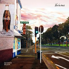 The Verlaines – Dunedin Spleen (2021) (ALBUM ZIP)