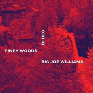 Big Joe Williams – Piney Woods Blues (2021) (ALBUM ZIP)