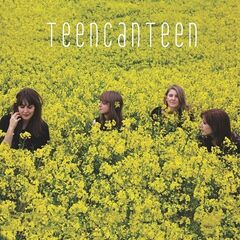 Teencanteen – This Is How It Starts The Early Recordings (2021) (ALBUM ZIP)