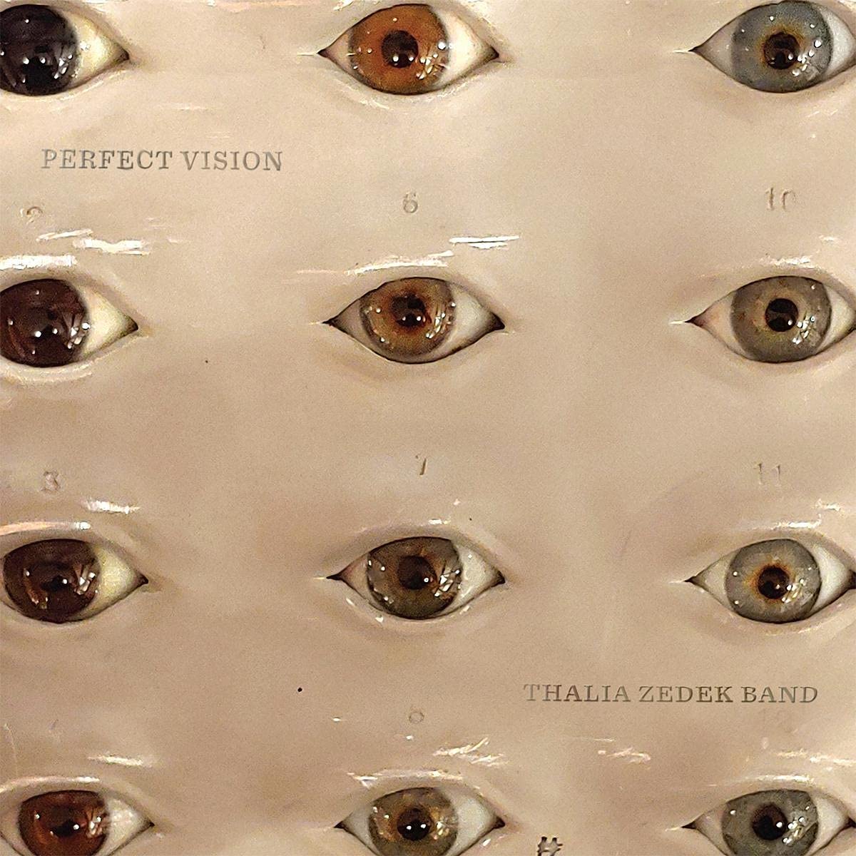 Thalia Zedek Band – Perfect Vision (2021) (ALBUM ZIP)