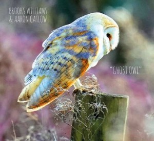 Brooks Williams &amp; Aaron Catlow – Ghost Owl (2021) (ALBUM ZIP)
