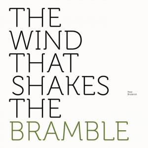 Peter Broderick – The Wind That Shakes The Bramble (2021) (ALBUM ZIP)