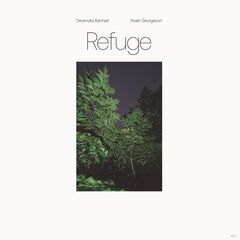 Devendra Banhart &amp; Noah Georgeson – Refuge (2021) (ALBUM ZIP)