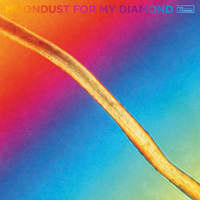 Hayden Thorpe – Moondust For My Diamond (2021) (ALBUM ZIP)