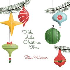 Steve Wariner – Feels Like Christmas Time (2021) (ALBUM ZIP)
