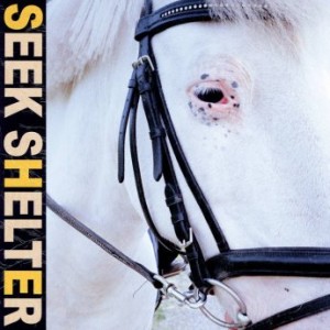 Iceage – Seek Shelter (2021) (ALBUM ZIP)