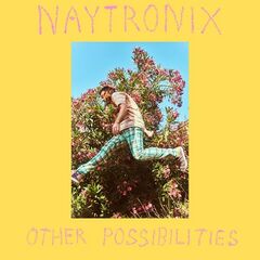 Naytronix – Other Possibilities (2021) (ALBUM ZIP)