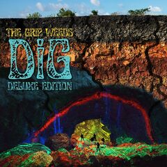 The Grip Weeds – Dig (2021) (ALBUM ZIP)