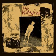 The Notwist – The Notwist [30 Year Anniversary Remaster] (2021) (ALBUM ZIP)