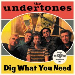 The Undertones – Dig What You Need (2022) (ALBUM ZIP)