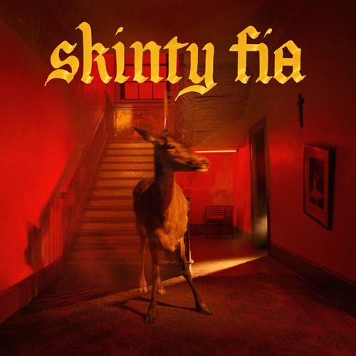 Fontaines D.C. – Skinty Fia (2022) (ALBUM ZIP)