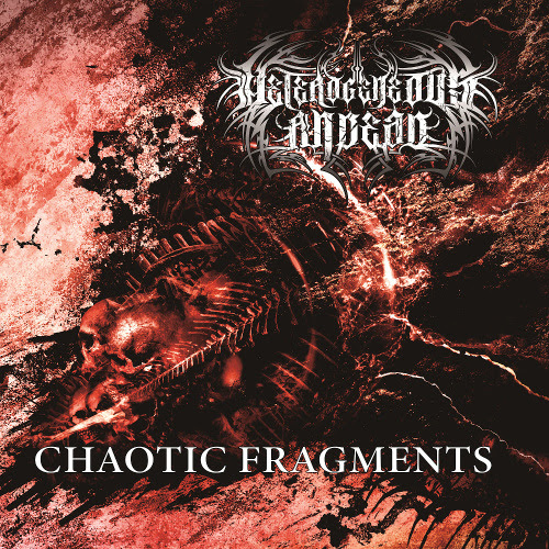 Heterogeneous Andead – Chaotic Fragments (2022) (ALBUM ZIP)
