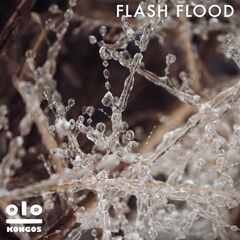 Kongos – Flash Flood (2022) (ALBUM ZIP)