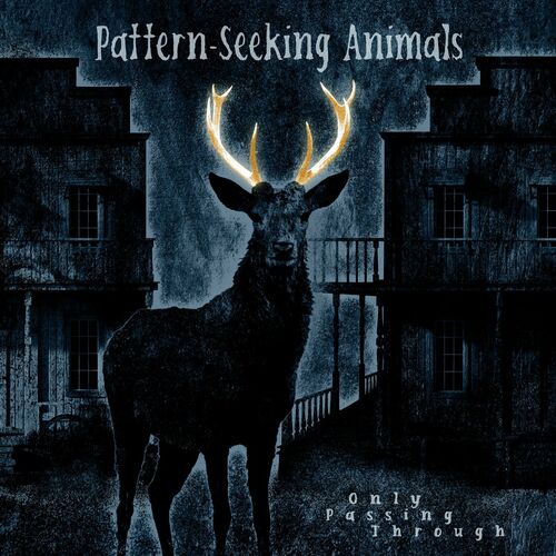Pattern-Seeking Animals – Only Passing Through (2022) (ALBUM ZIP)