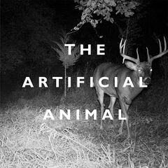 Broken English Club – The Artificial Animal (2022) (ALBUM ZIP)