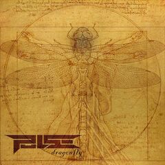 Pulse – Dragonfly (2022) (ALBUM ZIP)