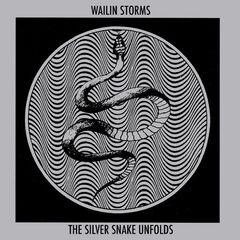 Wailin Storms – The Silver Snake Unfolds (2022) (ALBUM ZIP)