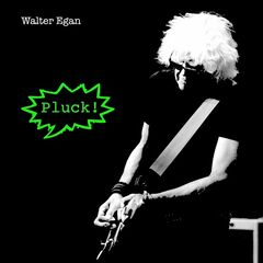 Walter Egan – Pluck! (2022) (ALBUM ZIP)