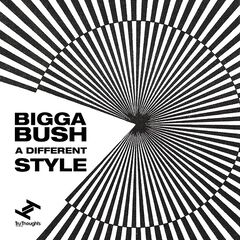 Biggabush – A Different Style (2022) (ALBUM ZIP)